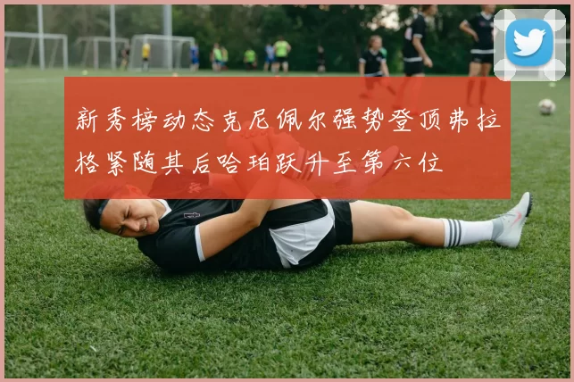 新秀榜动态克尼佩尔强势登顶弗拉格紧随其后哈珀跃升至第六位