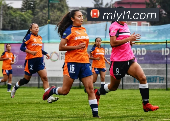 米兰娱乐APP 高清赛事图